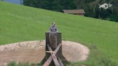 MTB riding by David Godziek