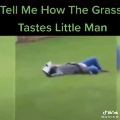 Tell me how the grass tastes