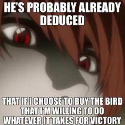 hahaha what the fuck is an angry bird