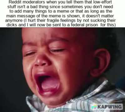 I propose this sub should not have a low-effort rule