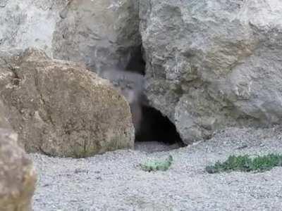 Who the heck is spying on me?