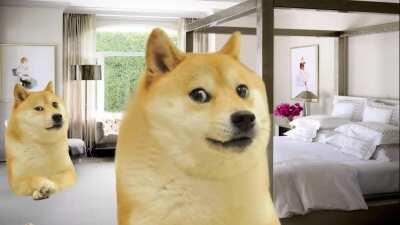 le green screen prison has arrived