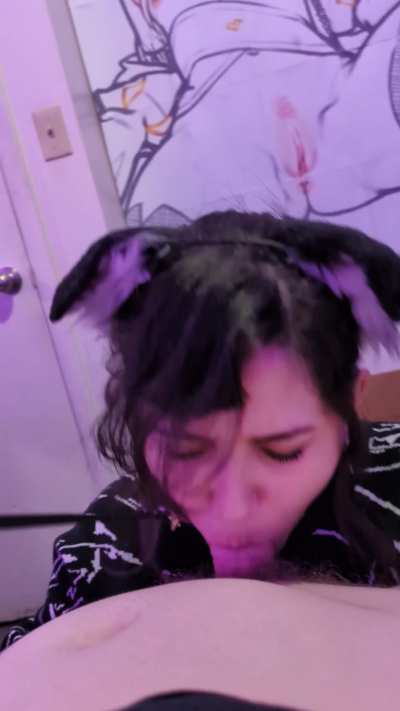 be sure to leash train your puppy