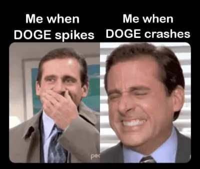 Doge reactions be like