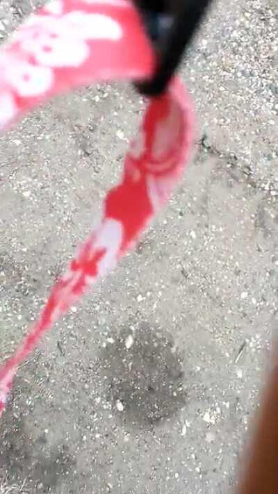 I love this piece of shit.