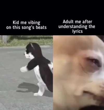 this meme is funny because it showcases how your perspective changes when you get old enough to comprehend the words behind the beat — some__stan