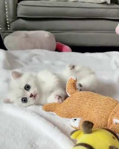 That was unexpected!