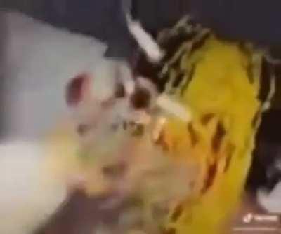 Q le traigan el desayuno a la cama a uno es muy romantico 😘