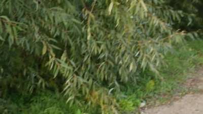 Almost Naked In The Evening Sun