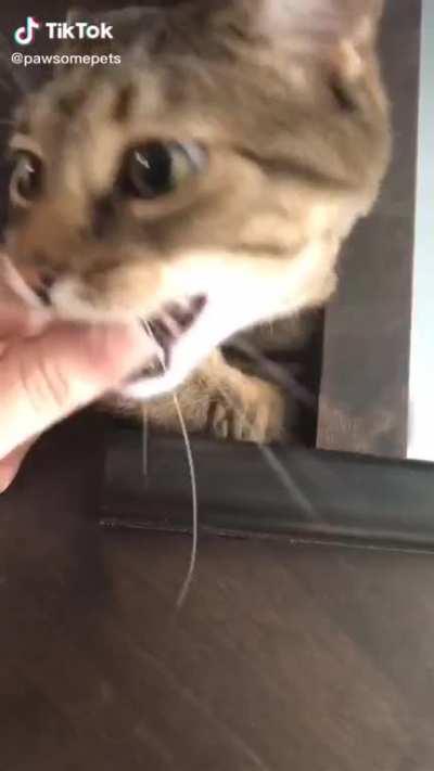 The face when he realises