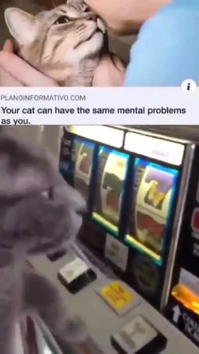 losercity gambling addict