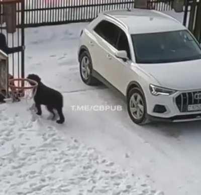 HMC while I park the car