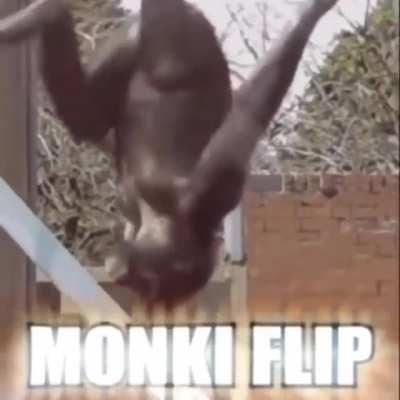 Just a normal ordinary meme