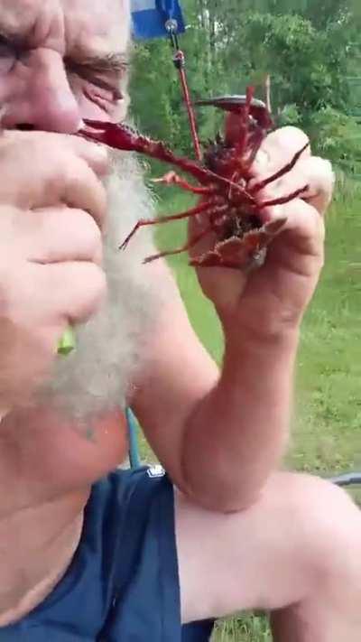 Play with a crayfish