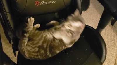 His routine when I tell him to get out of my chair.