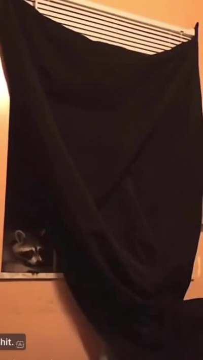 Her window gave me anxiety