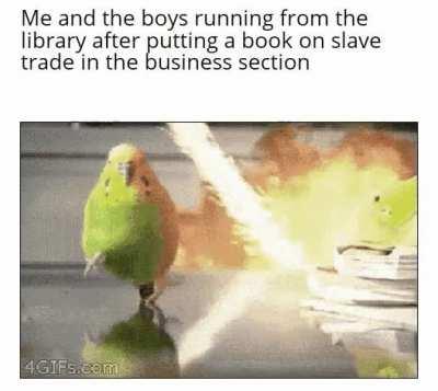 Run boys, RUN!