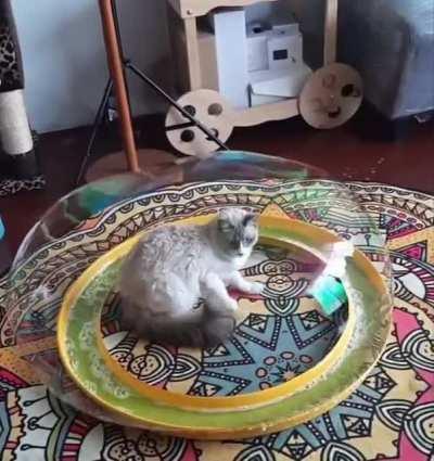 Замуровали демоны!