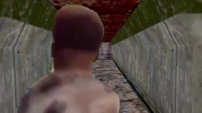 Half-Life Deathmatch be like