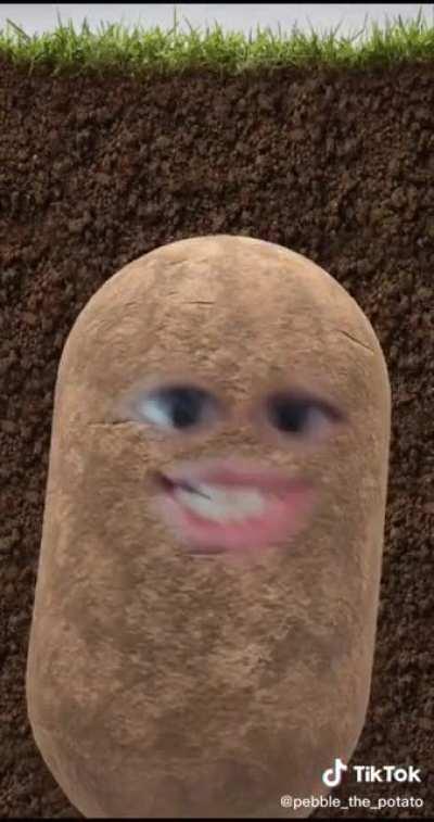 I hated this one so much, still hate it