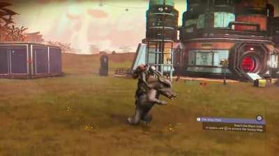 Riding some sort of pig bear man