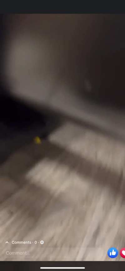 Honda Auger Housing issues on new HSS models fix! Thank you FB Honda Snowblower Enthusiast group 