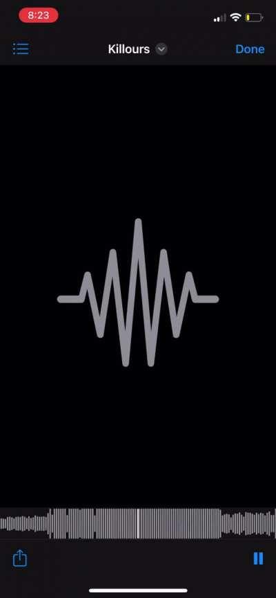 Is this really how killers sounded before it got leaked?