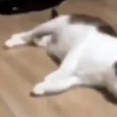 إعادة التشخس