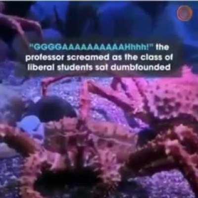 Liberals am I right 🙄🙄