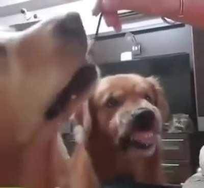 He Never want to shares