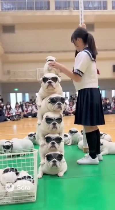 How do you stack your HOGE?