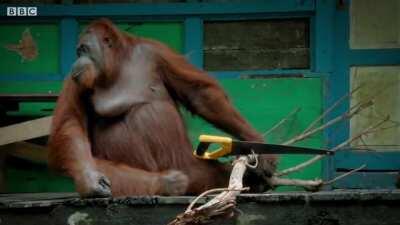 we making weapons now