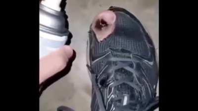 Thanks i hate buying new shoes...