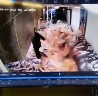 Hey uh, bob? can you check up on the fish machi- OH MY GOD