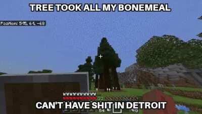 79 Bonemeal gone to waste