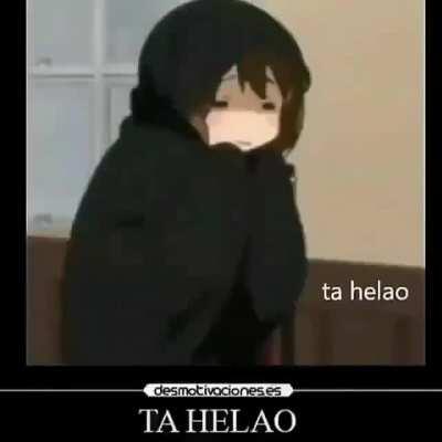 Hemisferio Sur niBBas be like