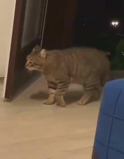 finally, inner peac- nvm.