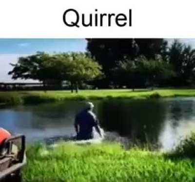 Quirrel