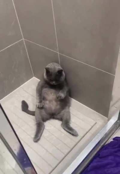 Just chillin' in the shower..