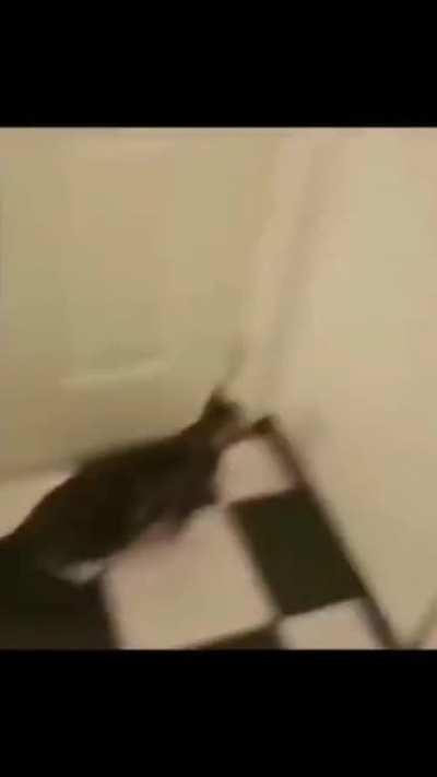 Oh look, its a corner. What does it do?!