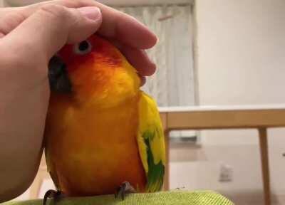 That magical moment he realizes foe is actually friend