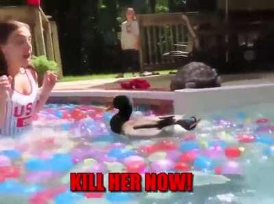 Peace was never an option