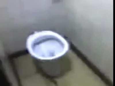 toilet