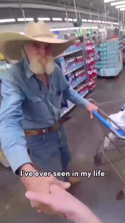 Magnificent lookin’ fella