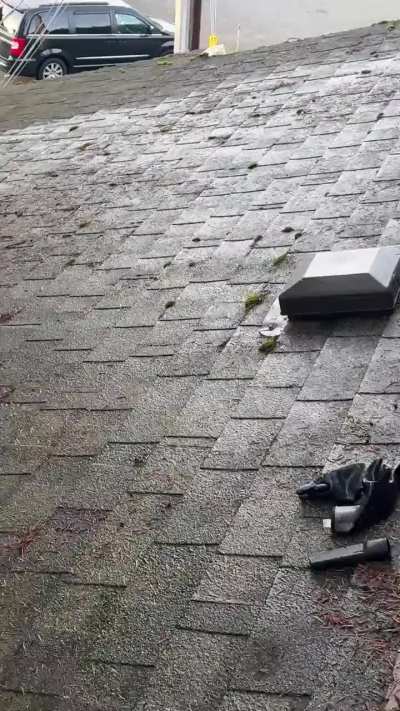 How to de Moss the roof?