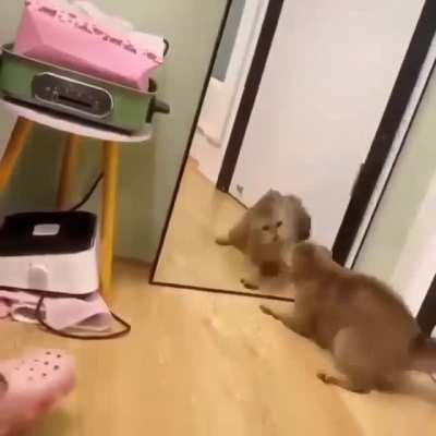 There can only be one.