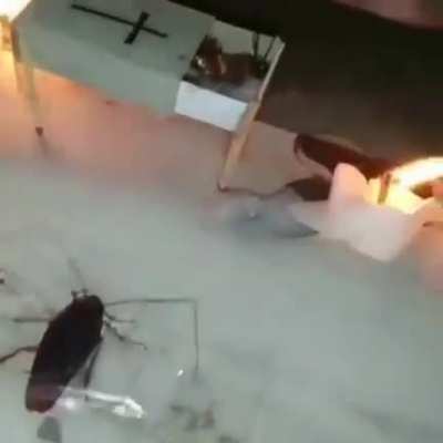 Ataturk funeral 😭😭😭