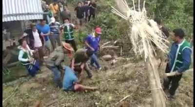 HMFT after I provoke this animal