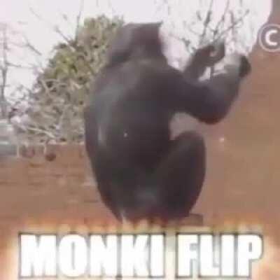 Só tô escrevendo aqui por que sou obrigado