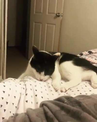 My sweet Pippa being a funny girl!